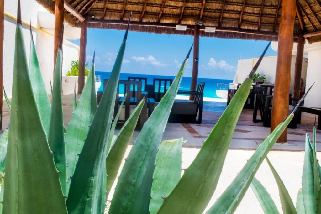 Villas Marlin 108, A Pie De Playa, Albercas, Jacuzi, Ubicacion Inmejorable Cancún Kültér fotó