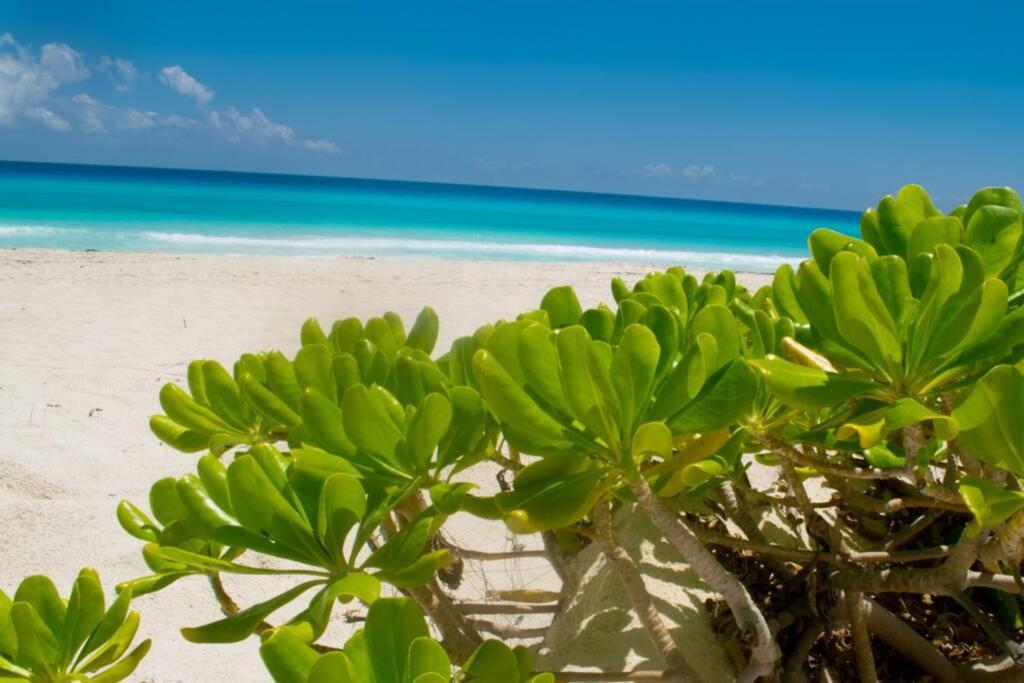 Villas Marlin 108, A Pie De Playa, Albercas, Jacuzi, Ubicacion Inmejorable Cancún Kültér fotó